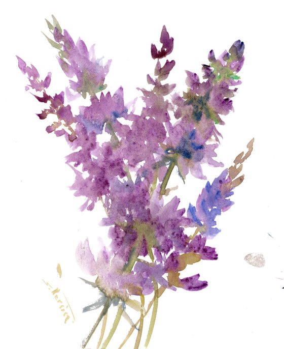 Lavender Flowers