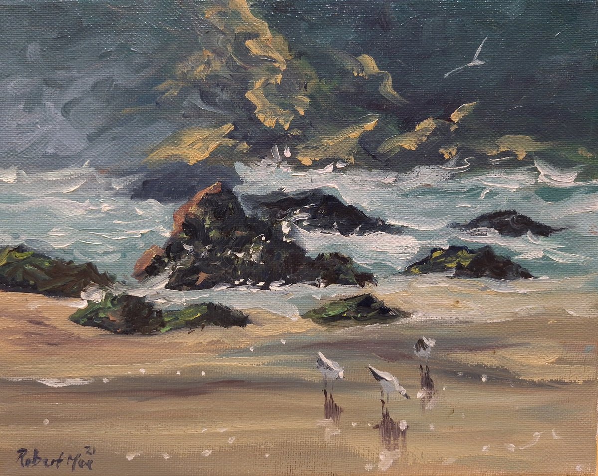 Seagulls On The Shore by Robert Mee