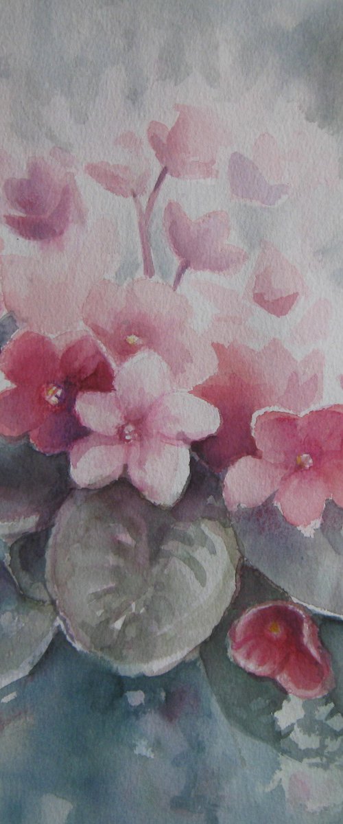 Spring flowers by Elena Oleniuc