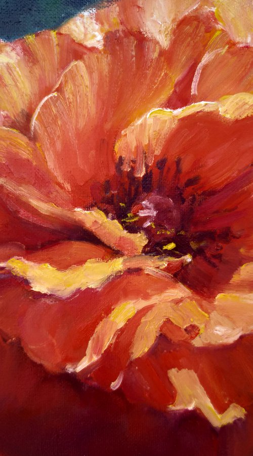 Poppy by Valentina Andrukhova