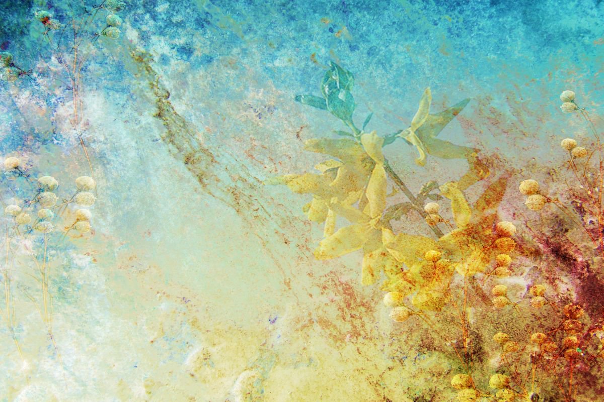 Impressionistic Landscape Photograph By Srdjan Jevtic, 59 X 39", Flower Revolution 150 Cm X 100 Cm Extra Large, Original Artwork