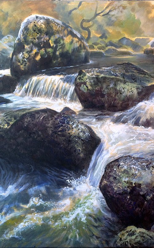 Falls on Tavy River, Dartmoor by Daniel Loveday