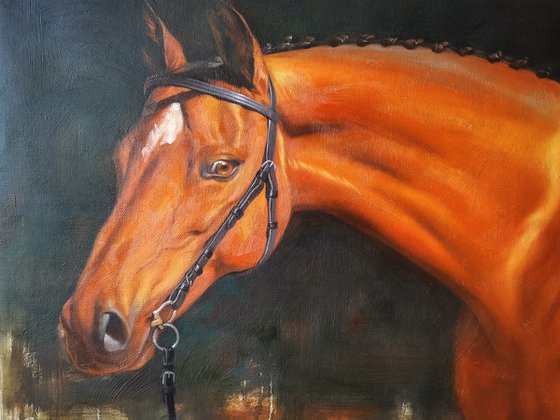 Oil painting animal horse artwork-look you