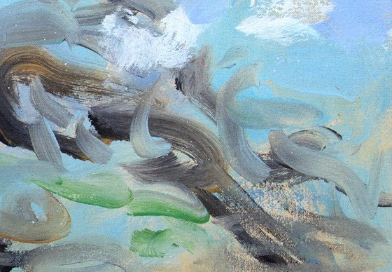 Rock Pools