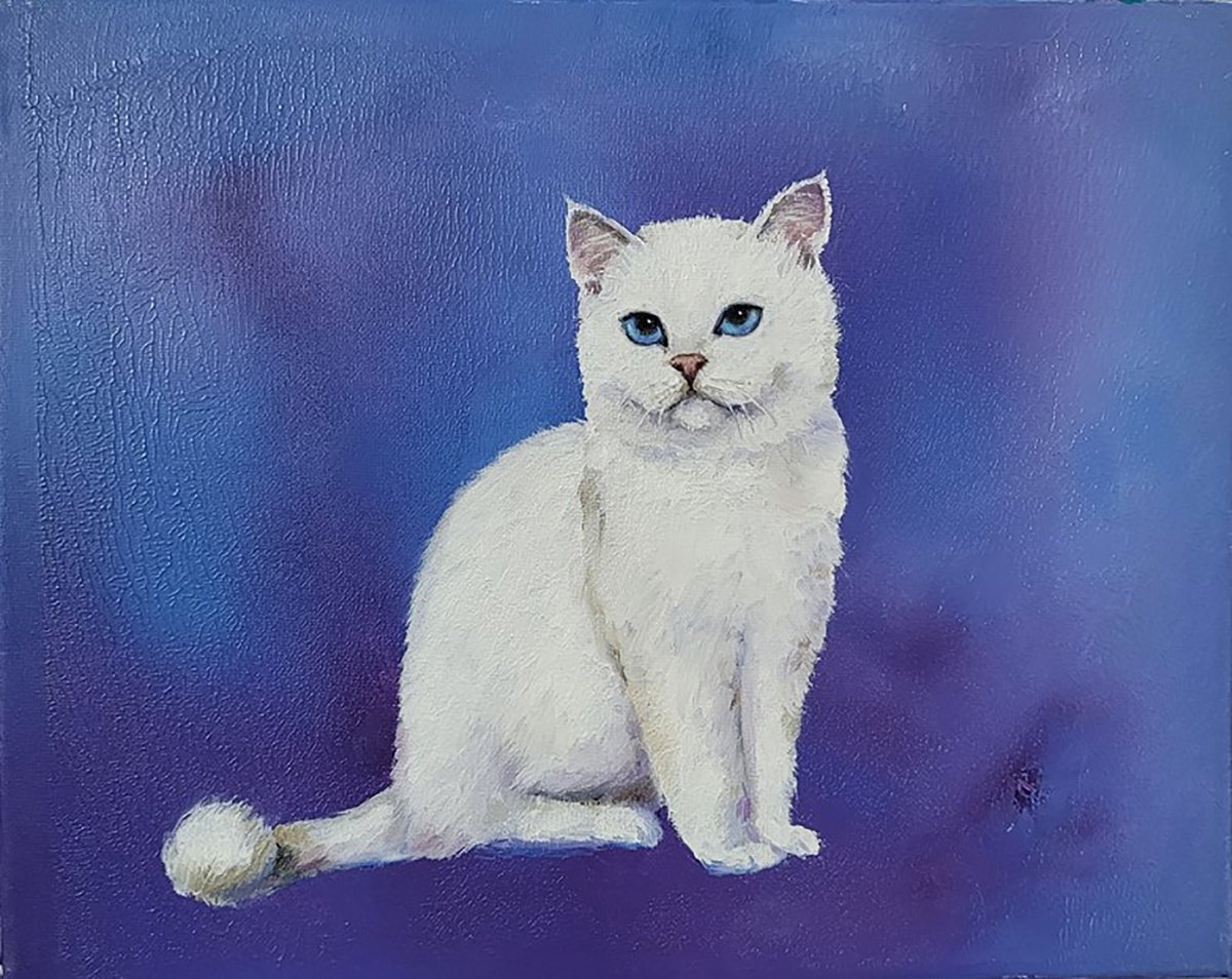 Snow White Cat by Lisa Braun
