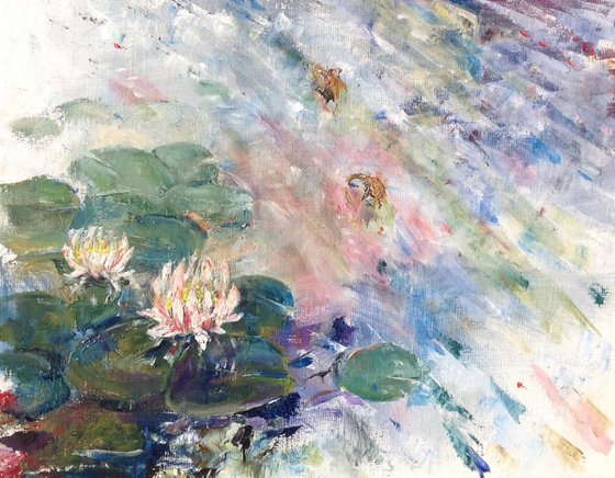 Nénuphars Roses,Pink Waterlilies