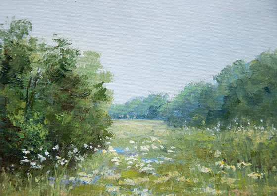 Summer Meadows. Oil painting. Original Art. Nature landscape. 8 x 8