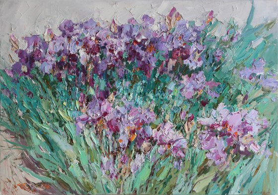 Irises