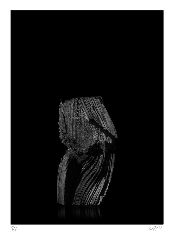 Untitled IV - "Standing Log"