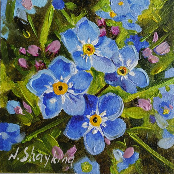 Blue Forget Me Nots