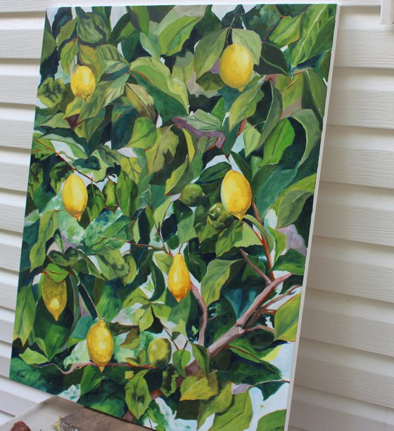 Lemon Tree V