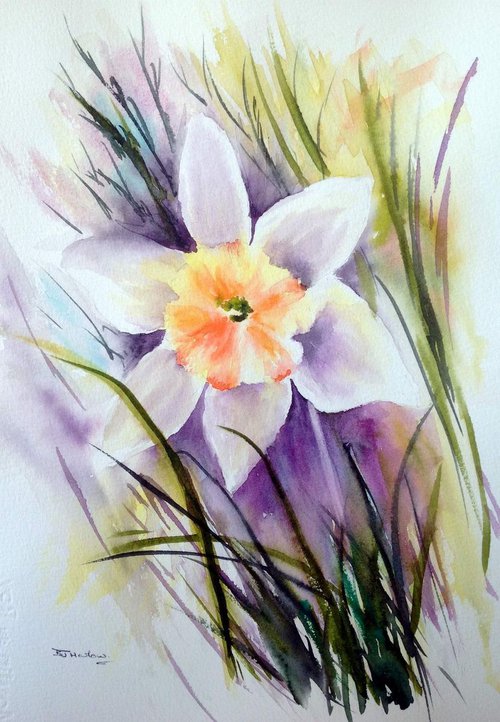 Daffodil by BARBARA  HARLOW
