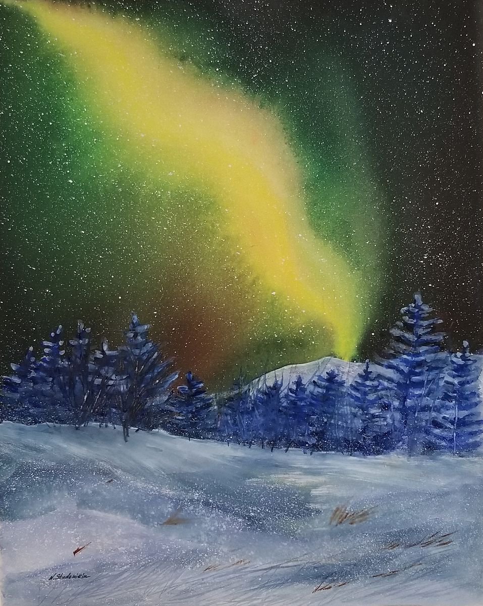 Arctic Lights by Nataliya Studenikin