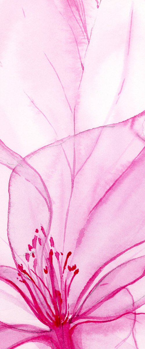 Fragile Blooms by Olga Koelsch