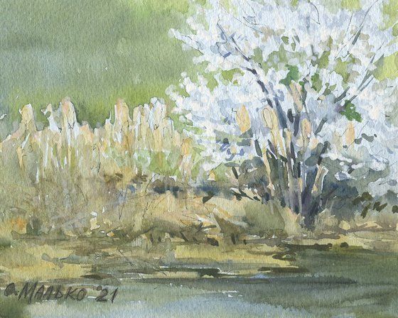 Spring again. Near a pond / Original watercolor sketch. Small picture. Landscape painting