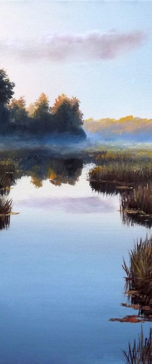 Mist on the river by Dalia Barke