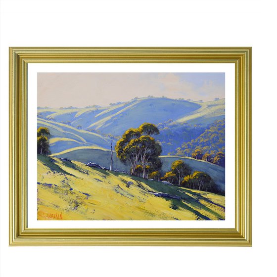 Afternoon light Hilly Landscape