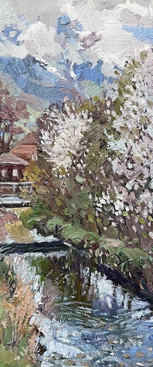 Blooming in the Alpine valley by Nadezda Stupina