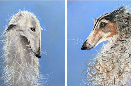 Dog Portraits Soft Pastel