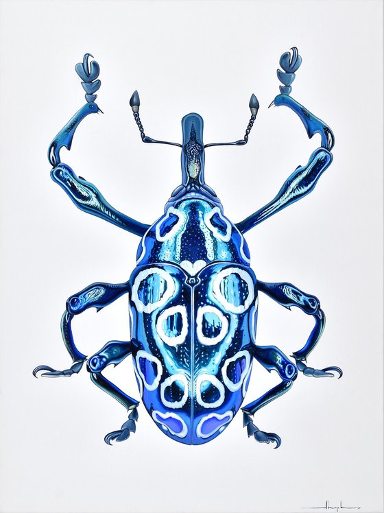 Jewel Beetle #1