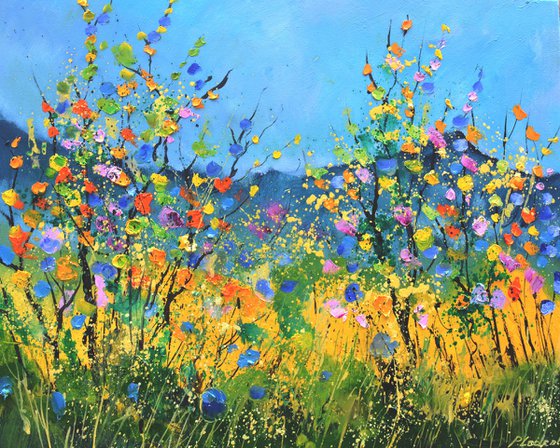Summer wild flowers   -  6523