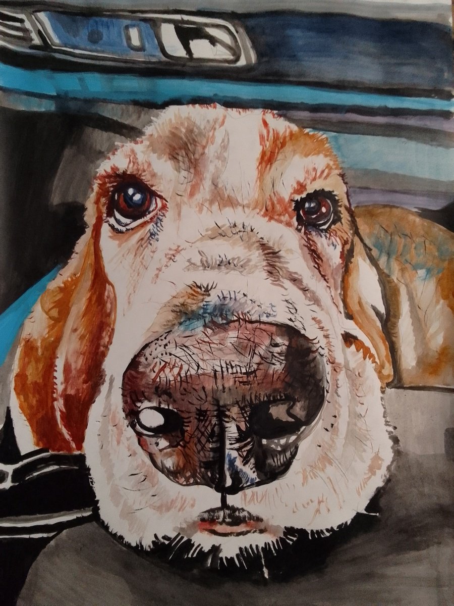 Photorealistic Animal Acrylic Painting By Soso Kumsiashvili, 24 X 33", Bassethound, Original Artwork