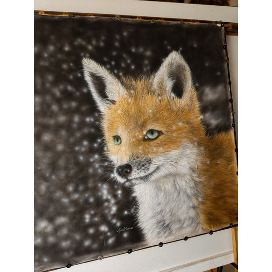 Fox & snow