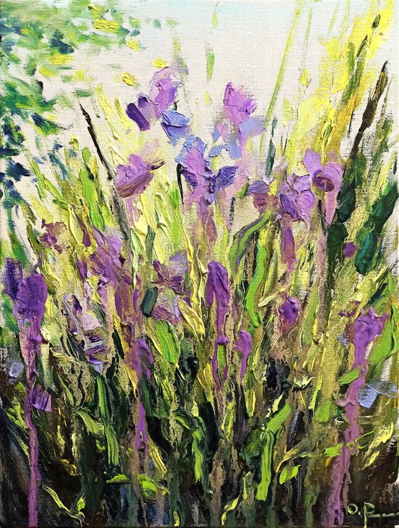 Monet's garden. Irises