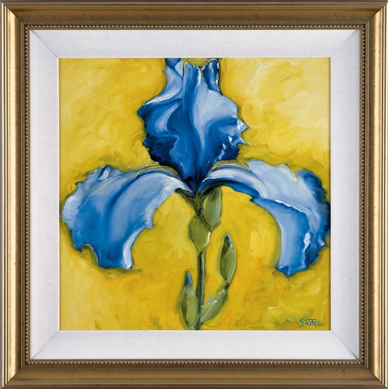 Lone Iris