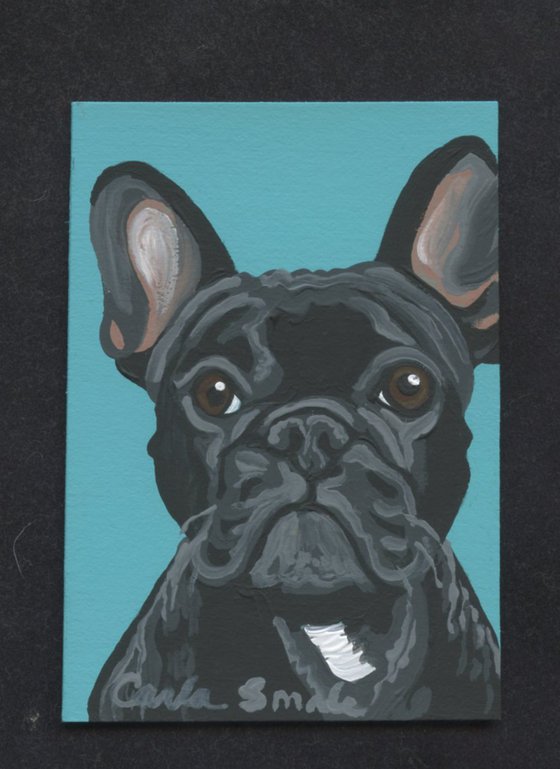 French Bulldog