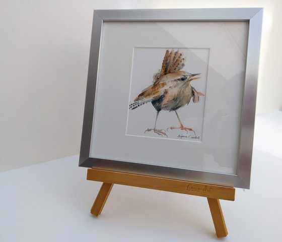 Wren painting, Wren in watercolour, Original Watercolour Bird painting