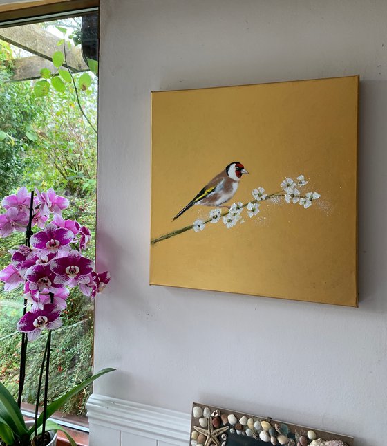 Goldfinch on Gold