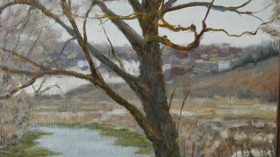 The Old Willow
