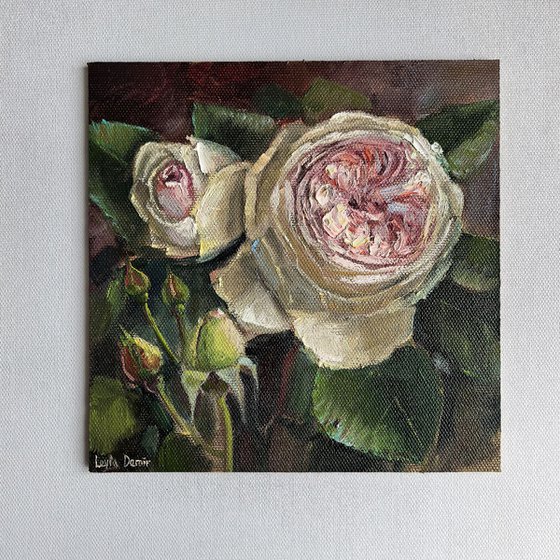 Pink roses still life