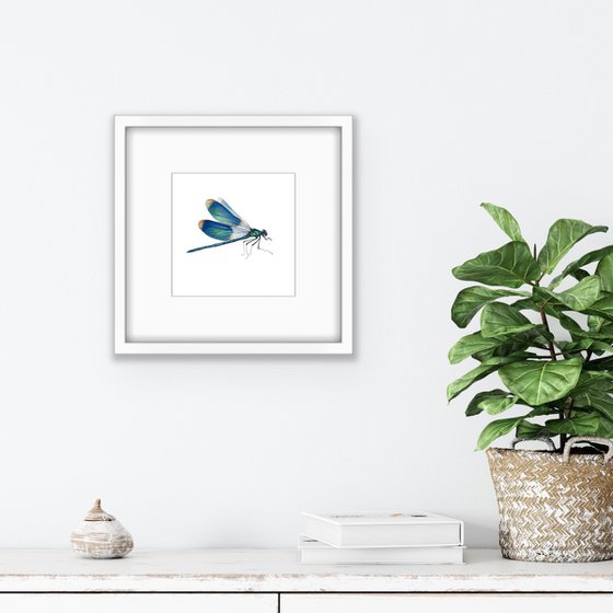 Blue dragonfly. ORIGINAL WATERCOLOUR ARTWORK.