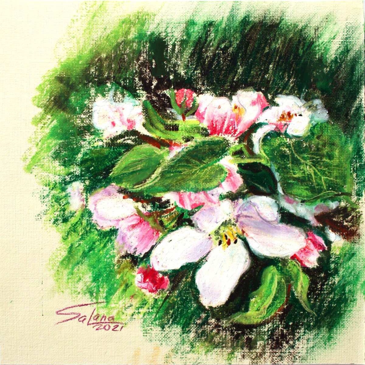 Apple flowers... / ORIGINAL PAINTING by Salana Art Gallery