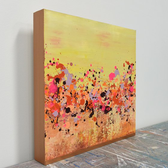 Sunkist Coral 1