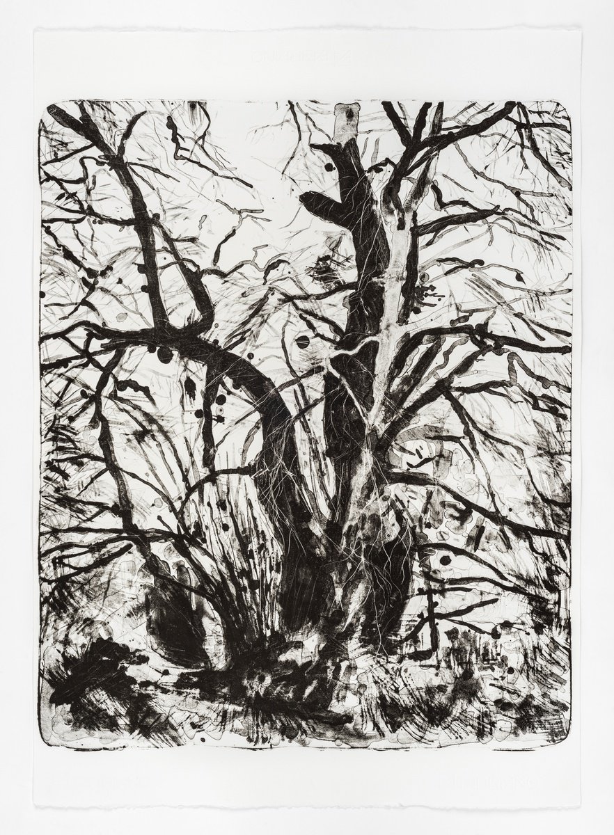 Impressionistic Landscape Limited Edition Print By Fiona Hamilton, 20 X 28, Wintertide, Original Artwork