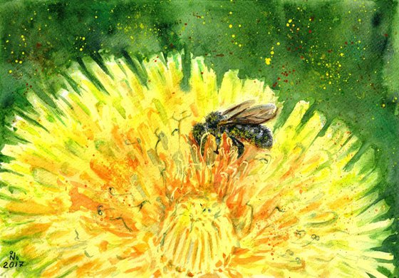 Bee on the dandelion