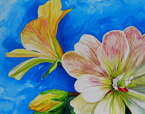 Flowers, watercolor