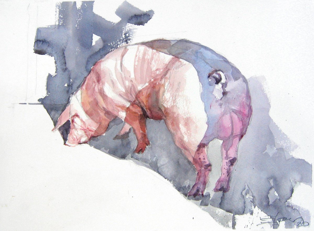 Expressive Animal Watercolour By Goran Zigolic Watercolors, 15 X 11, Piggy 2, Original Artwork