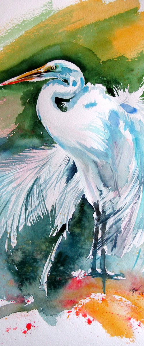 White heron by Kovács Anna Brigitta