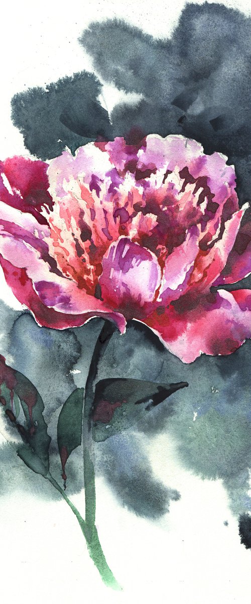 "Scent of a peony flower on a summer evening" original modern expressive watercolor flower on gray background by Ksenia Selianko