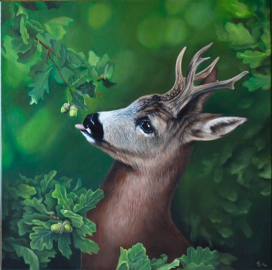 Deer