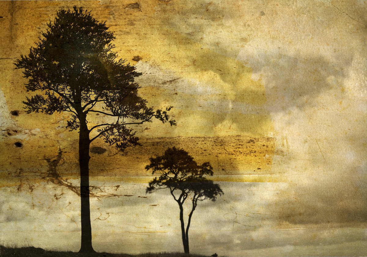 Landscape Photograph By Claire Newman-Williams, 24 X 18, The Gloaming, Original Artwork