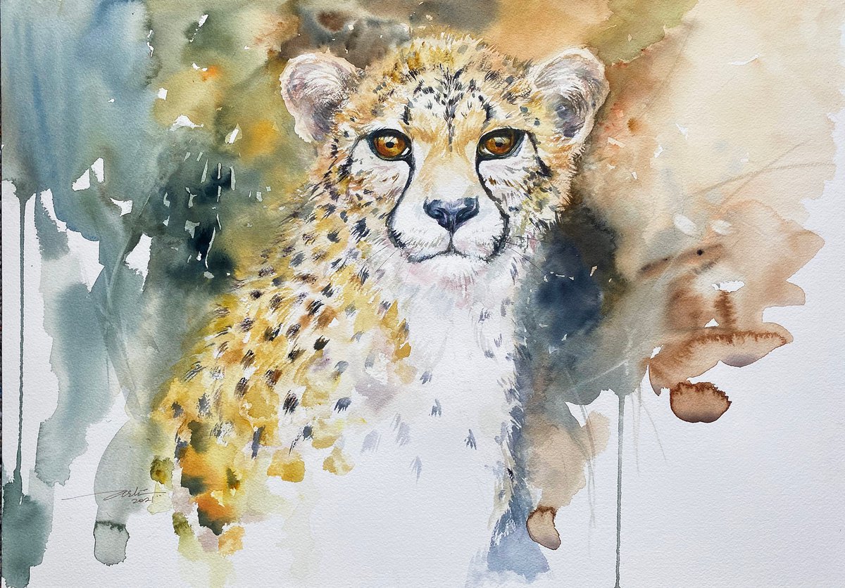 Impressionistic Animal Watercolour By Arti Chauhan, 20 X 14, Young Cheetah Charlie, Original Artwork