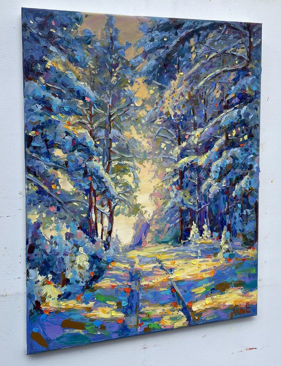 "winter forest"