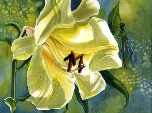 yellow lily with dragonfly by Alfred  Ng