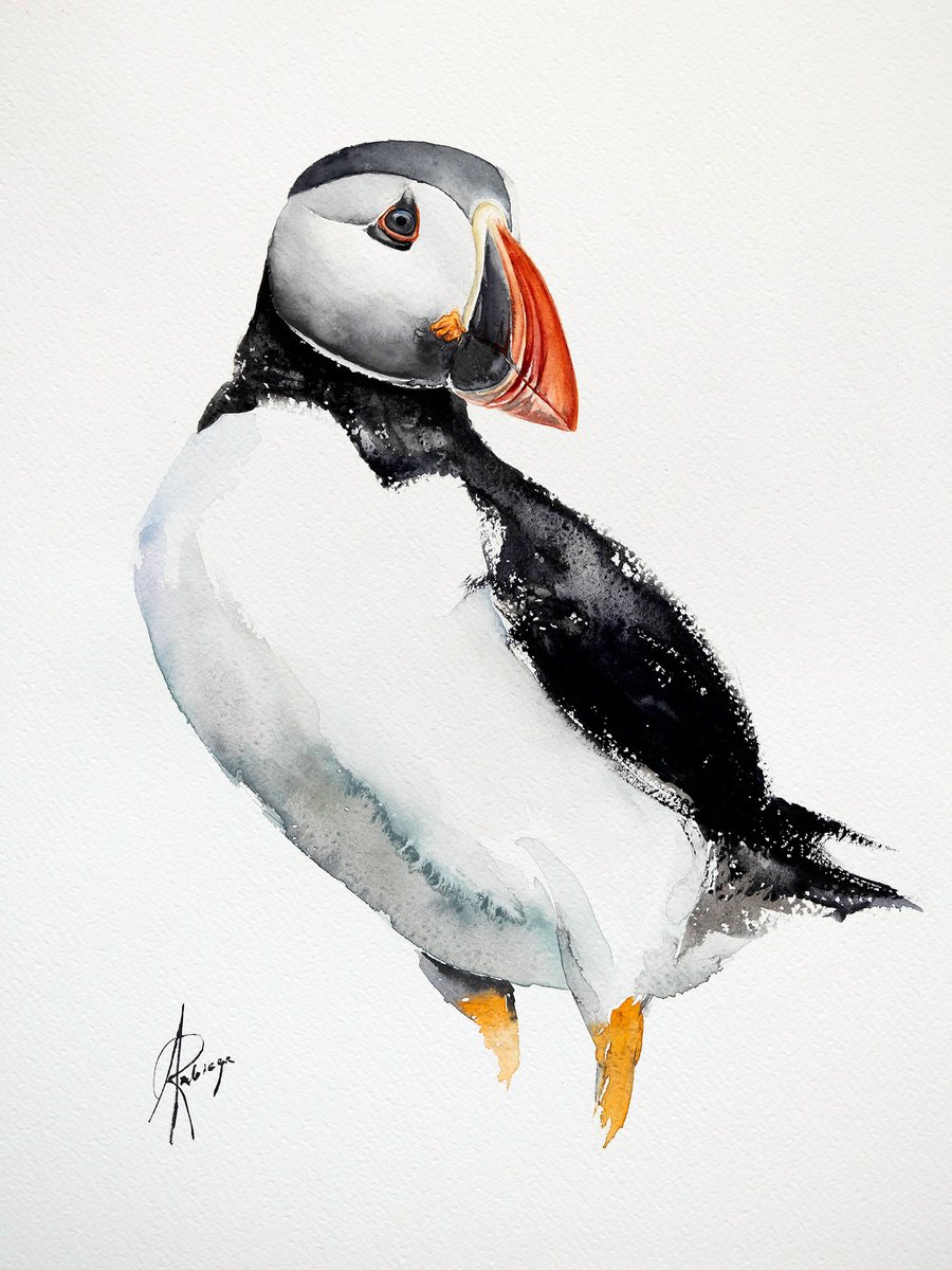 Animal Watercolour By Andrzej Rabiega, 12 X 16, Puffin, Original Artwork