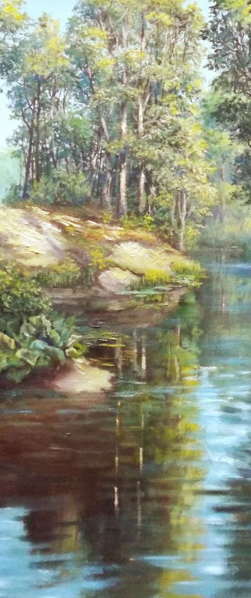 Backwater by Oleg Riabchuk